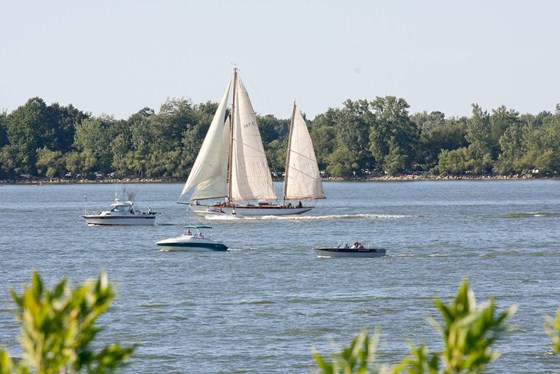 Unfair Dismissal Colchester: Unite Solicitors